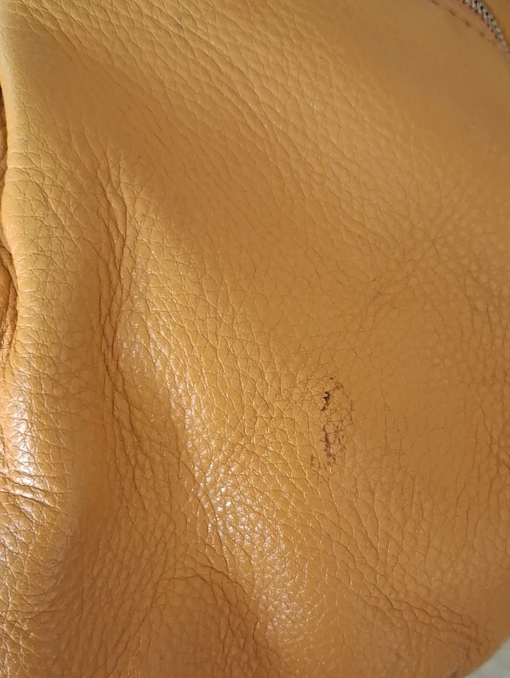 Michael Kors Large Layton Marigold Hobo Bag